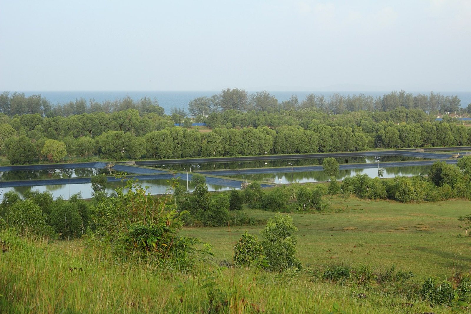 Constructed wetland and planted ponds treating sewage the natural way
